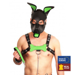 The Red PUPPY OS  EN CUIR VERT